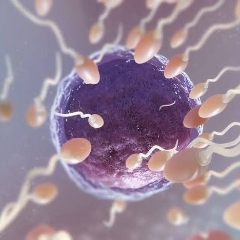 Ovulyasiya vaxtını nece hesablmaq olar?