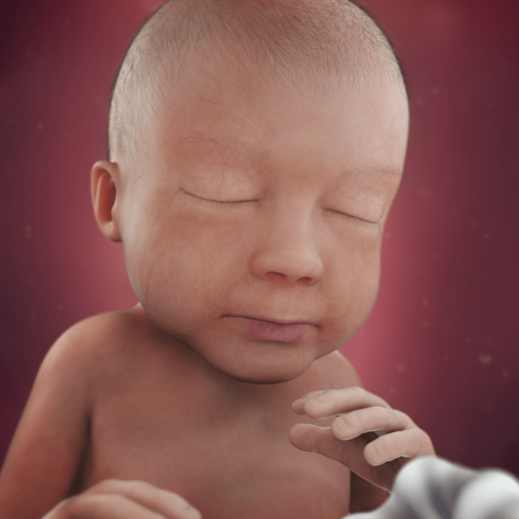 28 HƏFTƏ HAMİLƏLİK